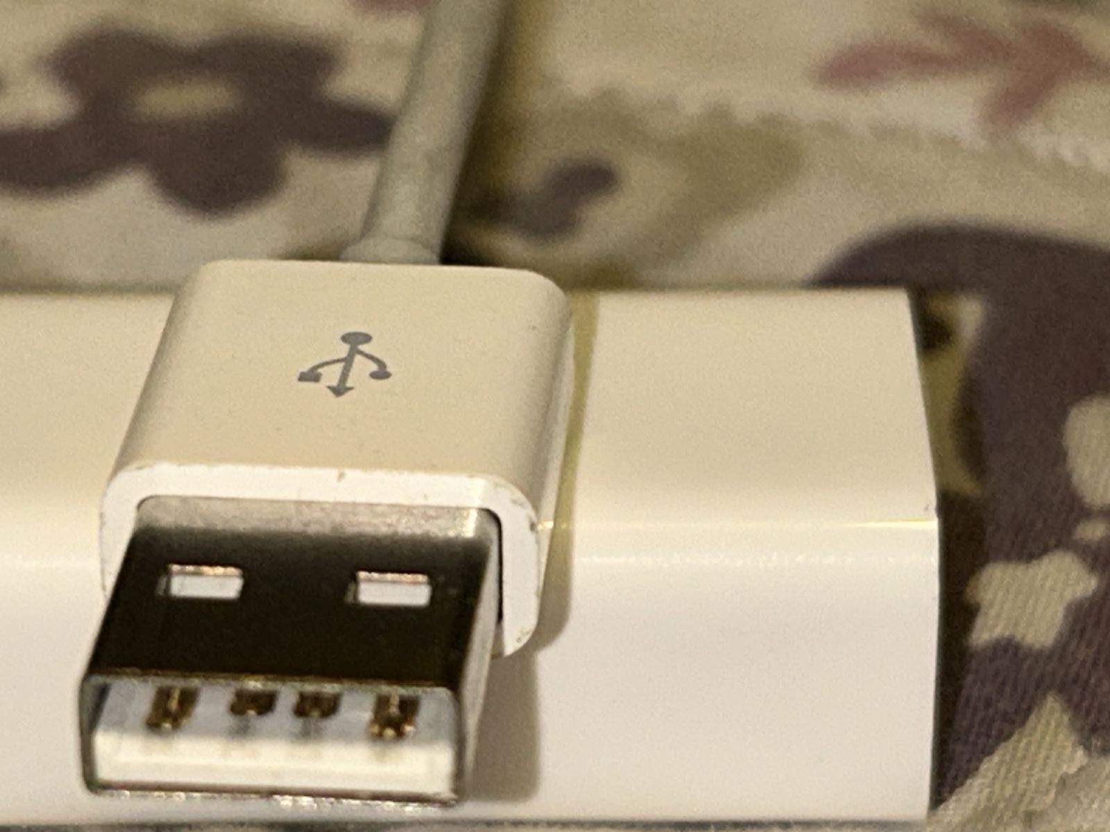Main image 4