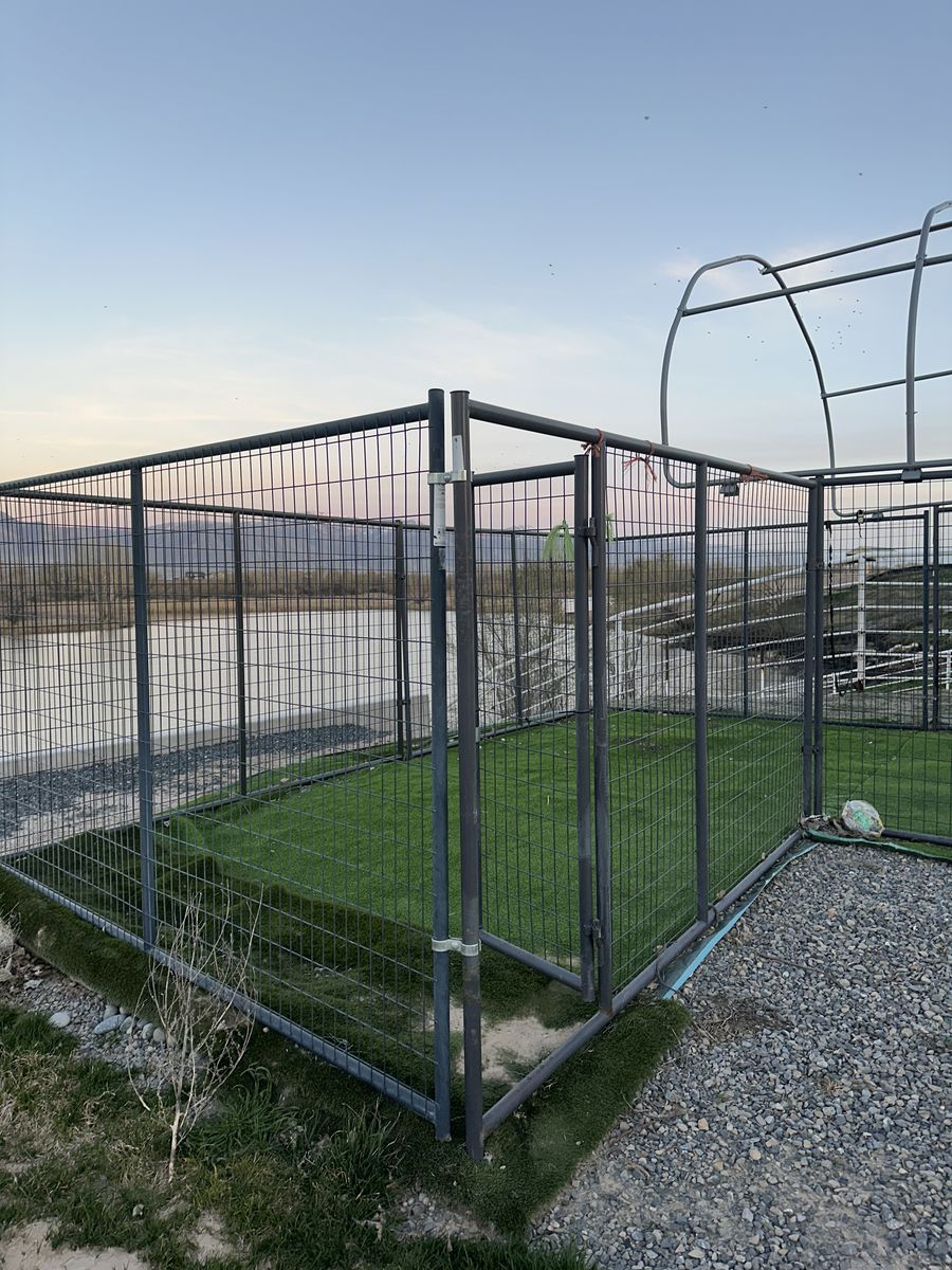 Dog kennels