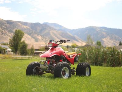 1993 Honda 300ex