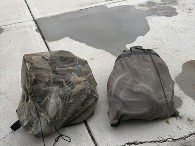 Duck decoys