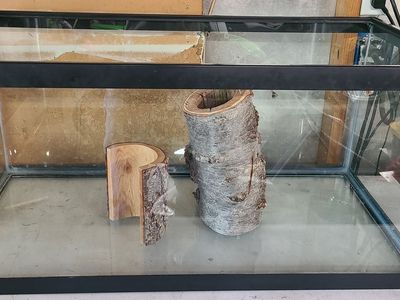Reptile habitat