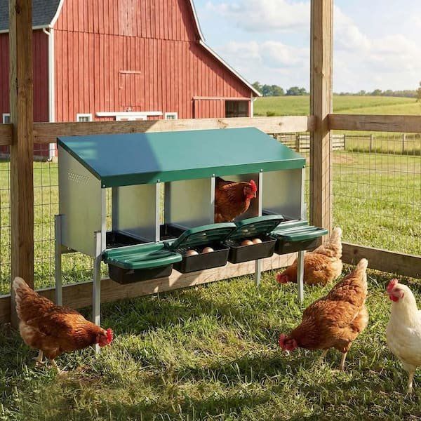 Chicken Nesting Boxes, 4-Hole Nesting Box for chicken Laying Eggs