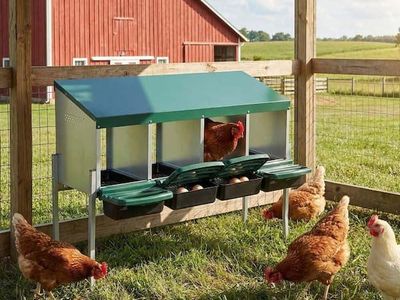 Chicken Nesting Boxes, 4-Hole Nesting Box for chicken Laying Eggs