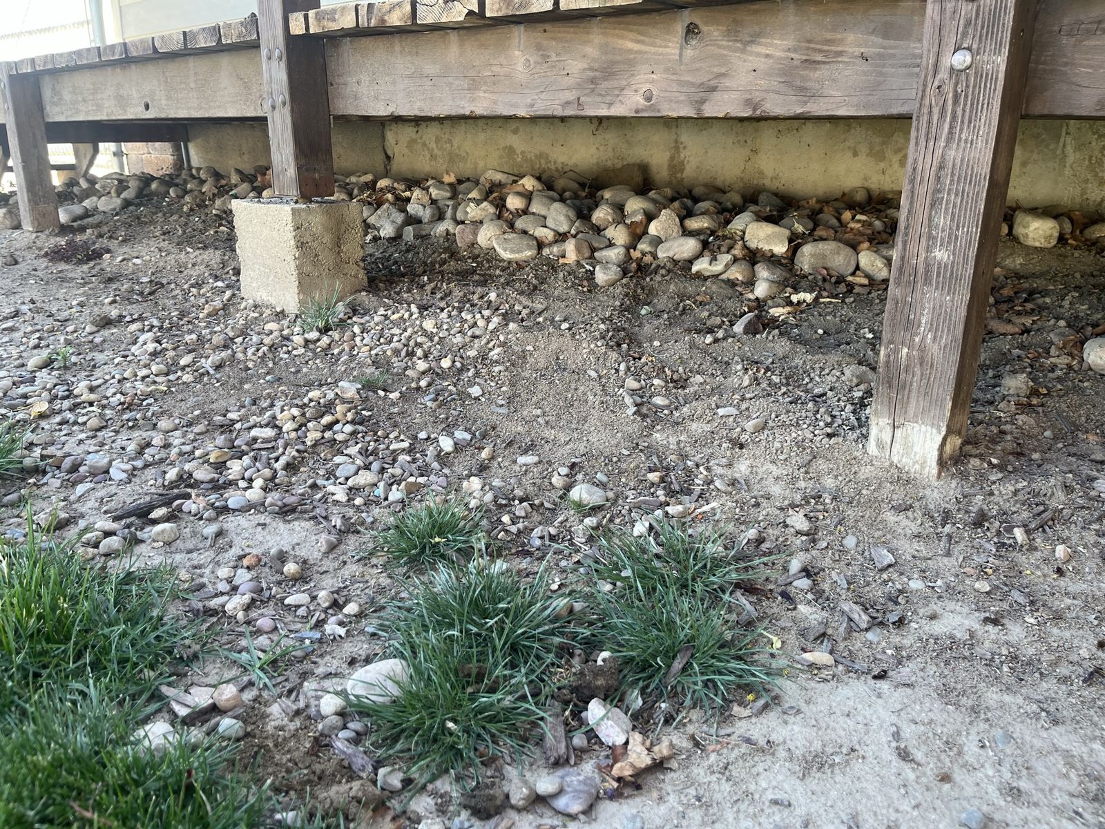Main image 2