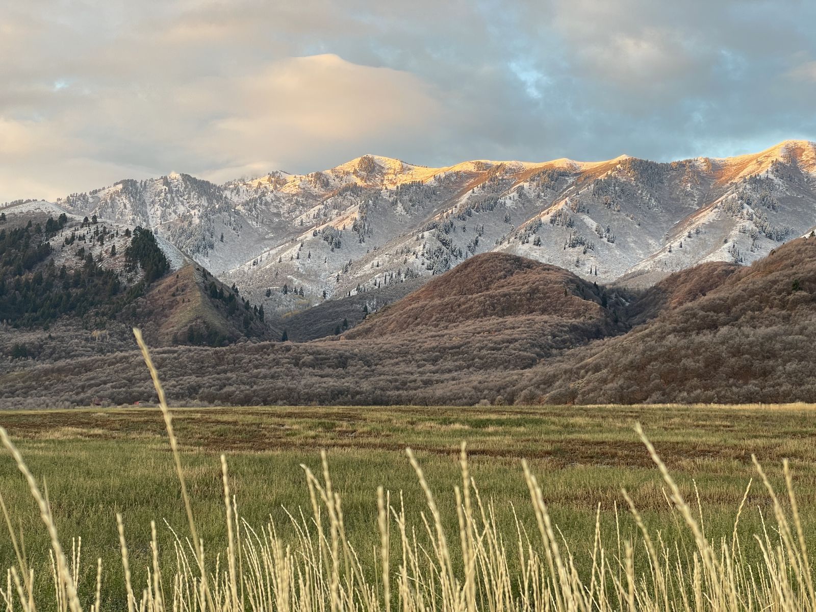 Looking For Water Shares