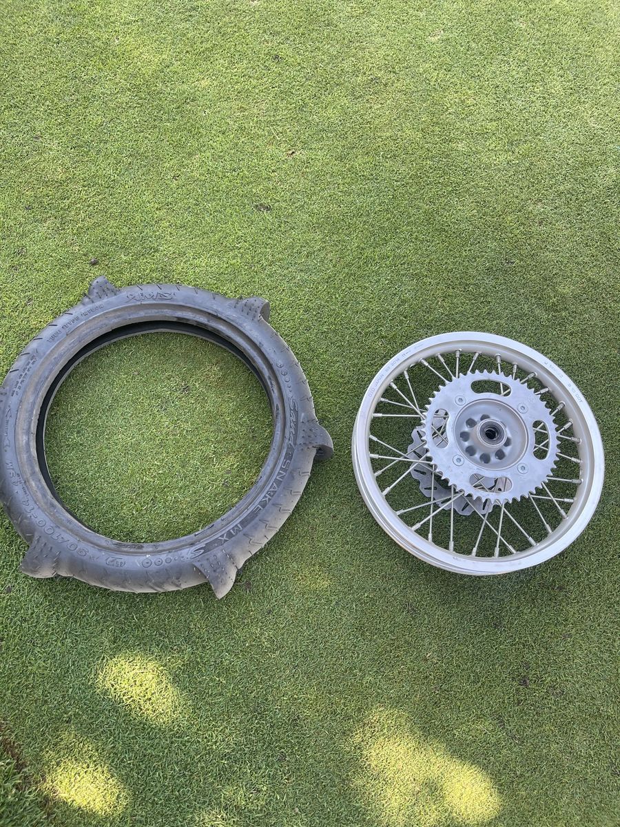 rim sprocket and brake disc with paddle tire