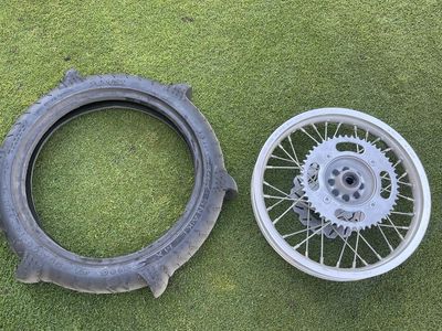 rim sprocket and brake disc with paddle tire