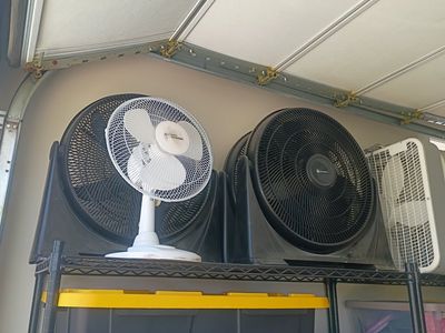 fans