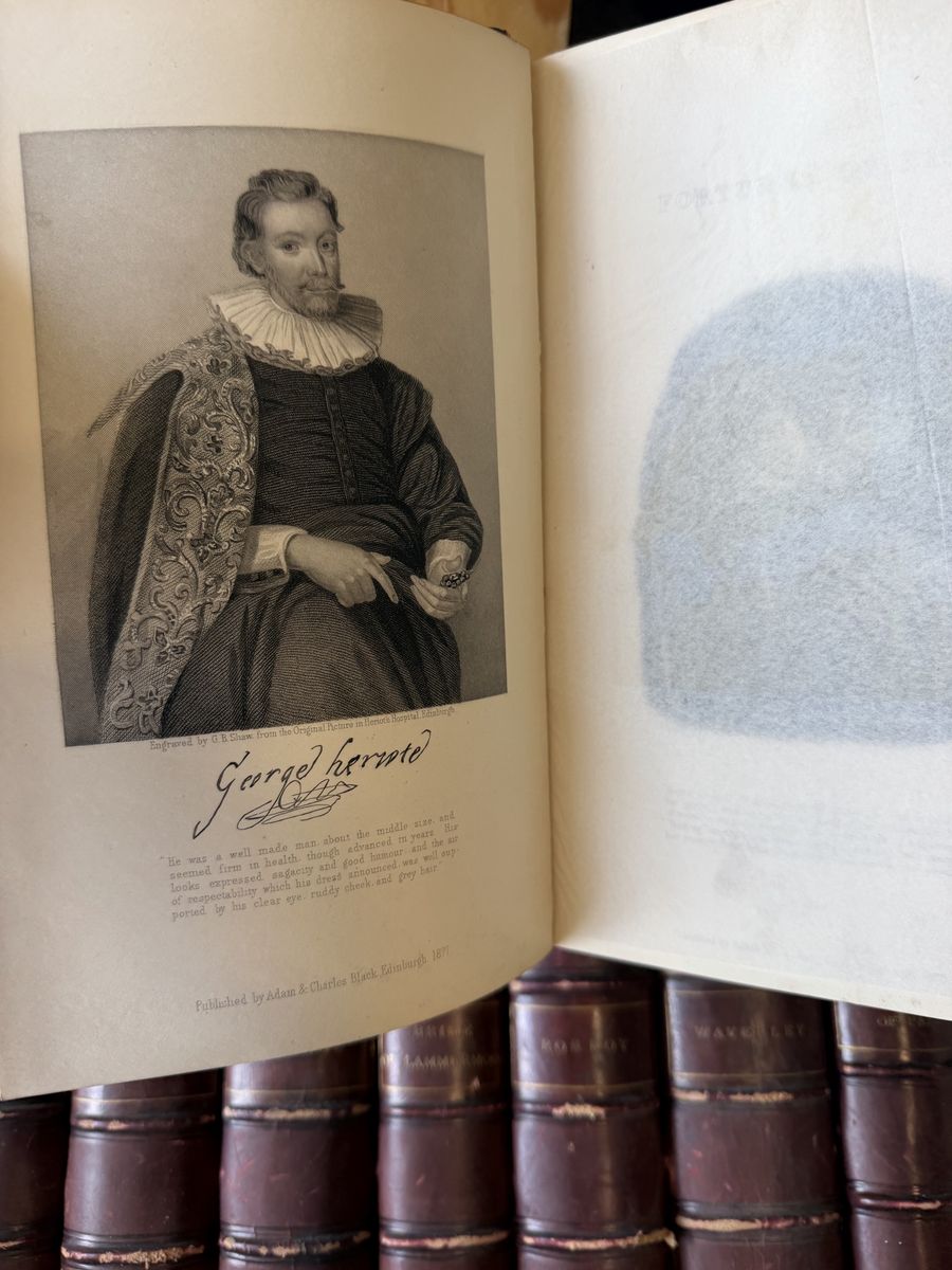 Main image 5