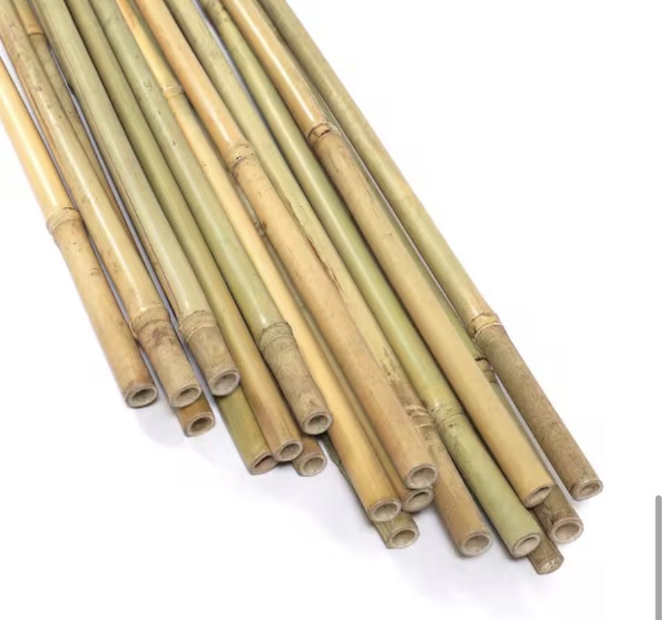 8 ft. x 3/4 in. Natural Bamboo Garden Plant Stakes