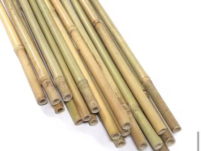 8 ft. x 3/4 in. Natural Bamboo Garden Plant Stakes
