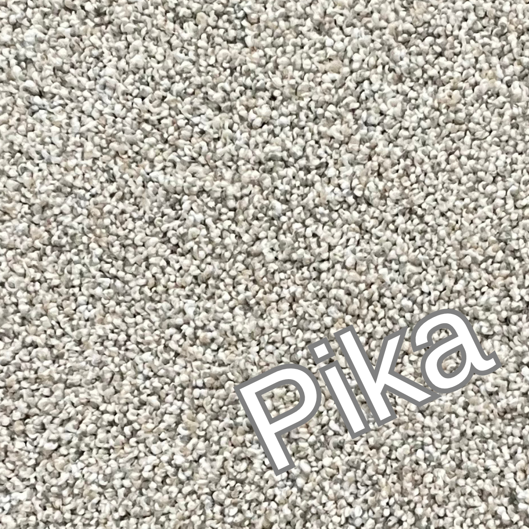 SOFT, PLUSH Carpet at LOW PRICE!