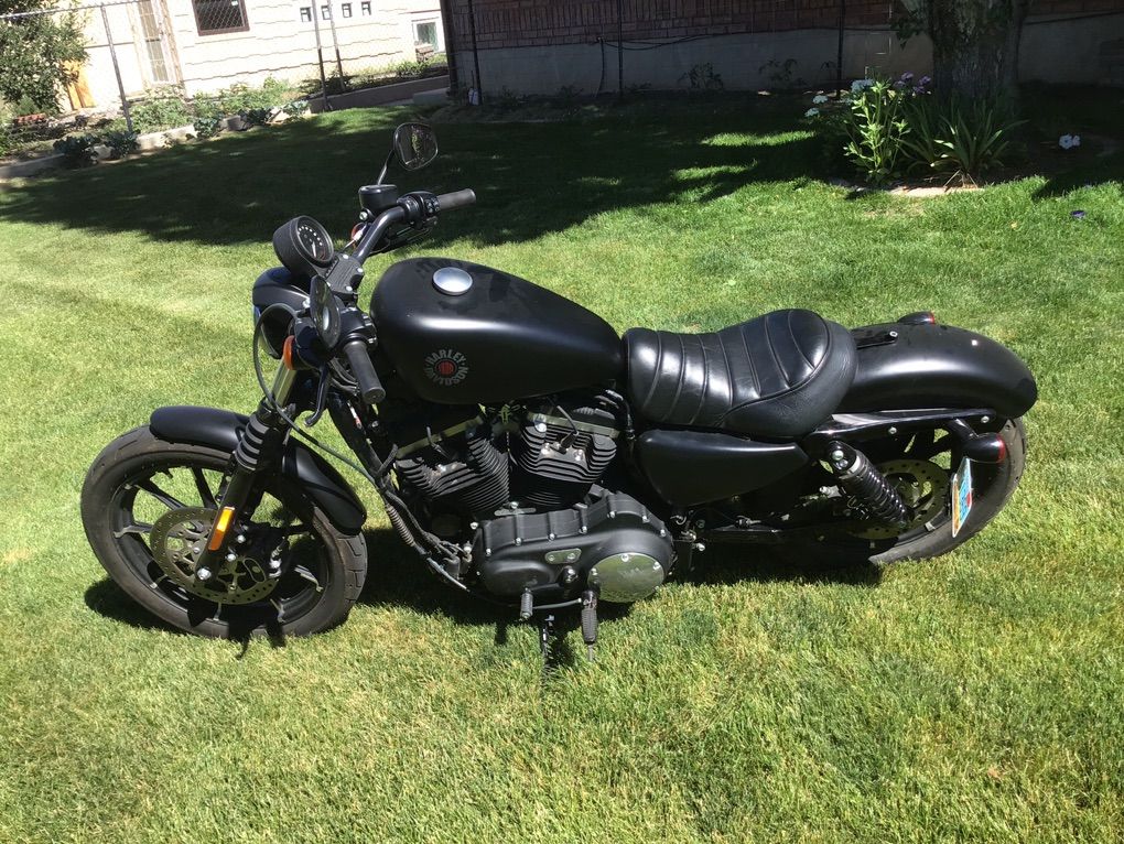2022 Harley Davidson Sportster XL883