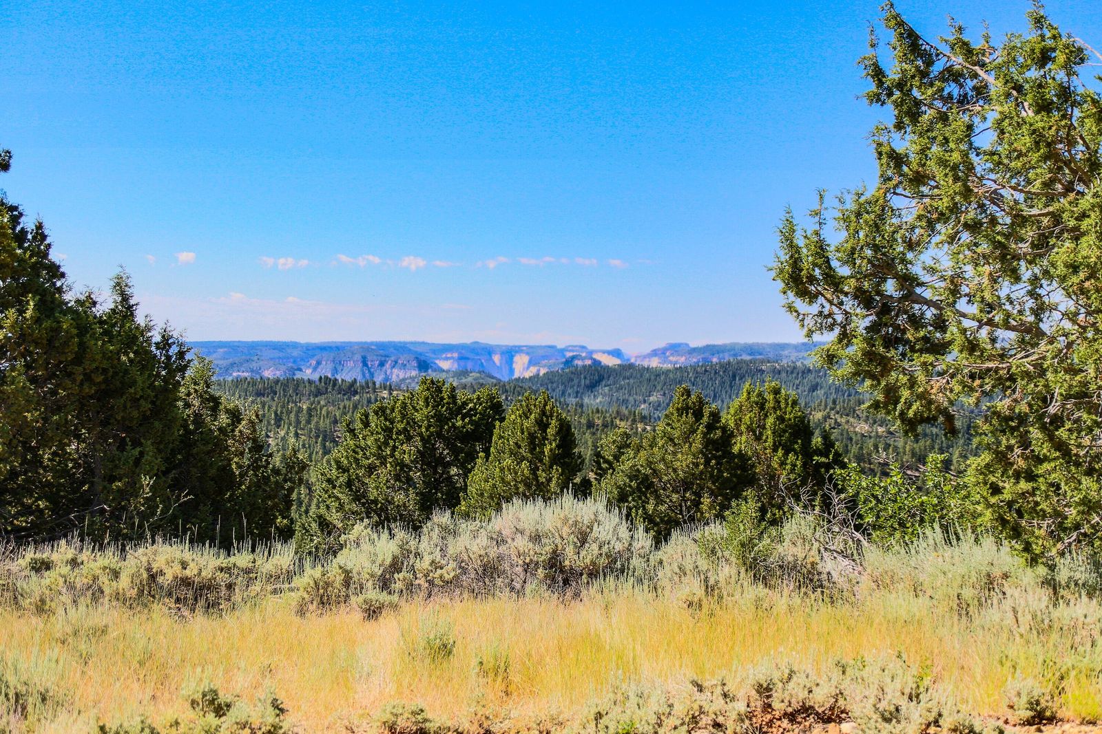 2.22-Acre Lot in Virgin, UT