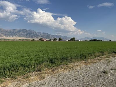 Box Elder County 2 Acre Lot - 5 total - West Facing - West Corrine Water Share