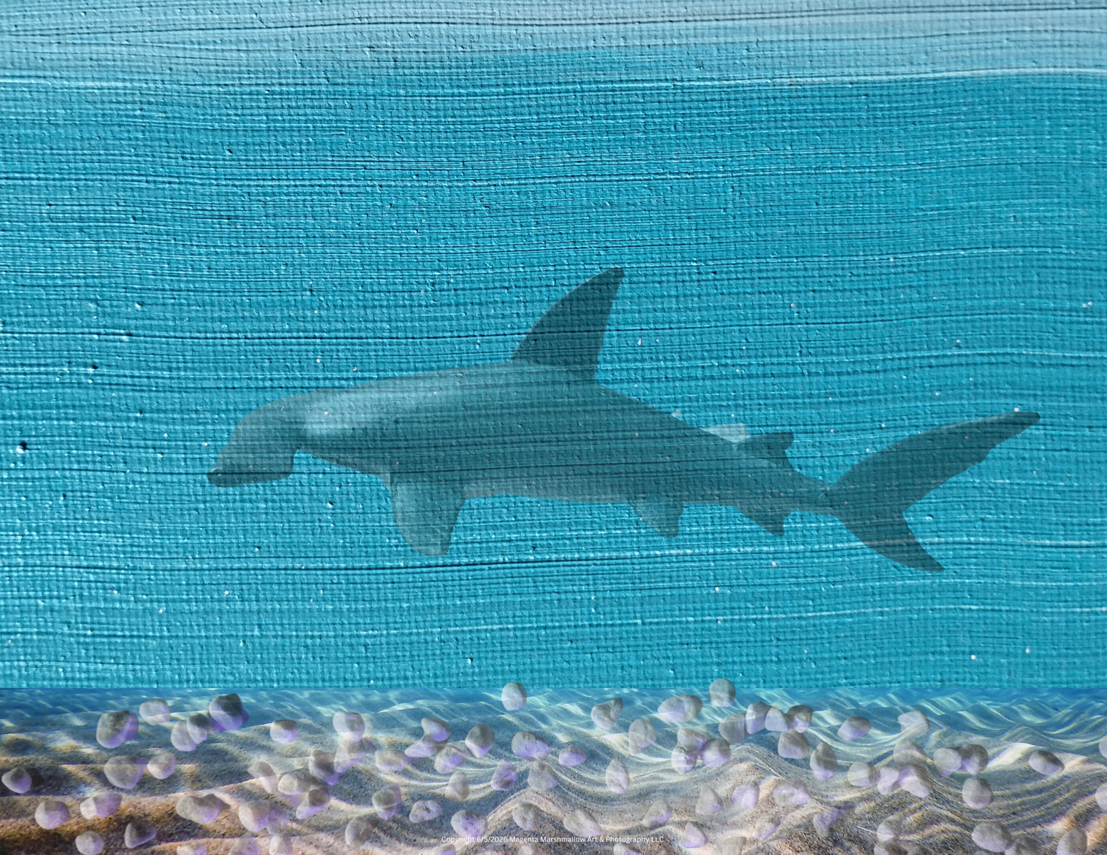 Hammerhead Shark - Premium Plush Blanket