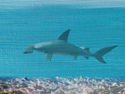 Hammerhead Shark - Premium Plush Blanket
