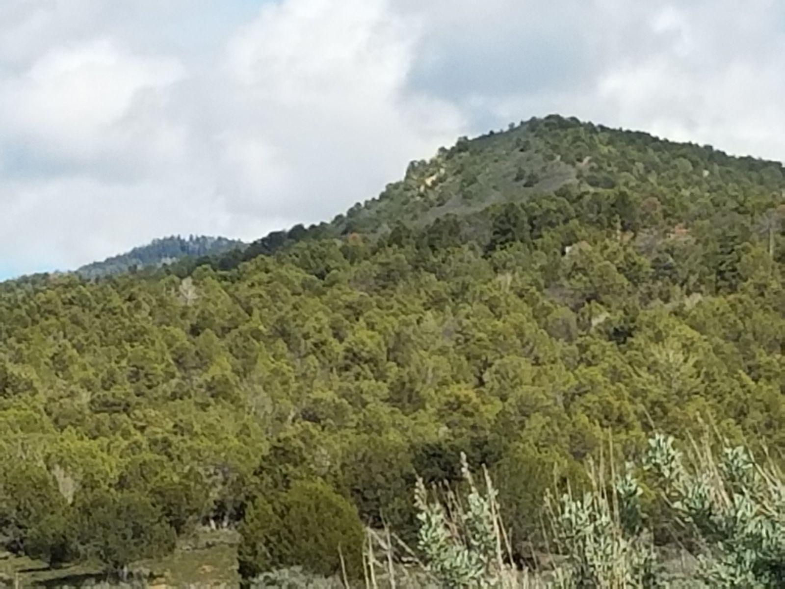 Main image 3