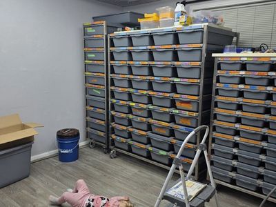 Ball Python breeding operation.