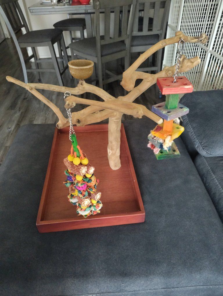 Bird Play Stand Tabletop Perch with Bowl and Toys - Natural Wood Activity Center for Parrots