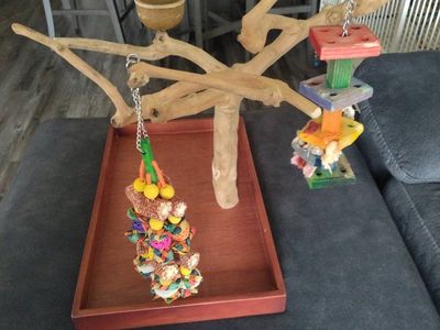 Bird Play Stand Tabletop Perch with Bowl and Toys - Natural Wood Activity Center for Parrots