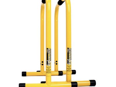 Lebert Fitness Equalizer Bars
