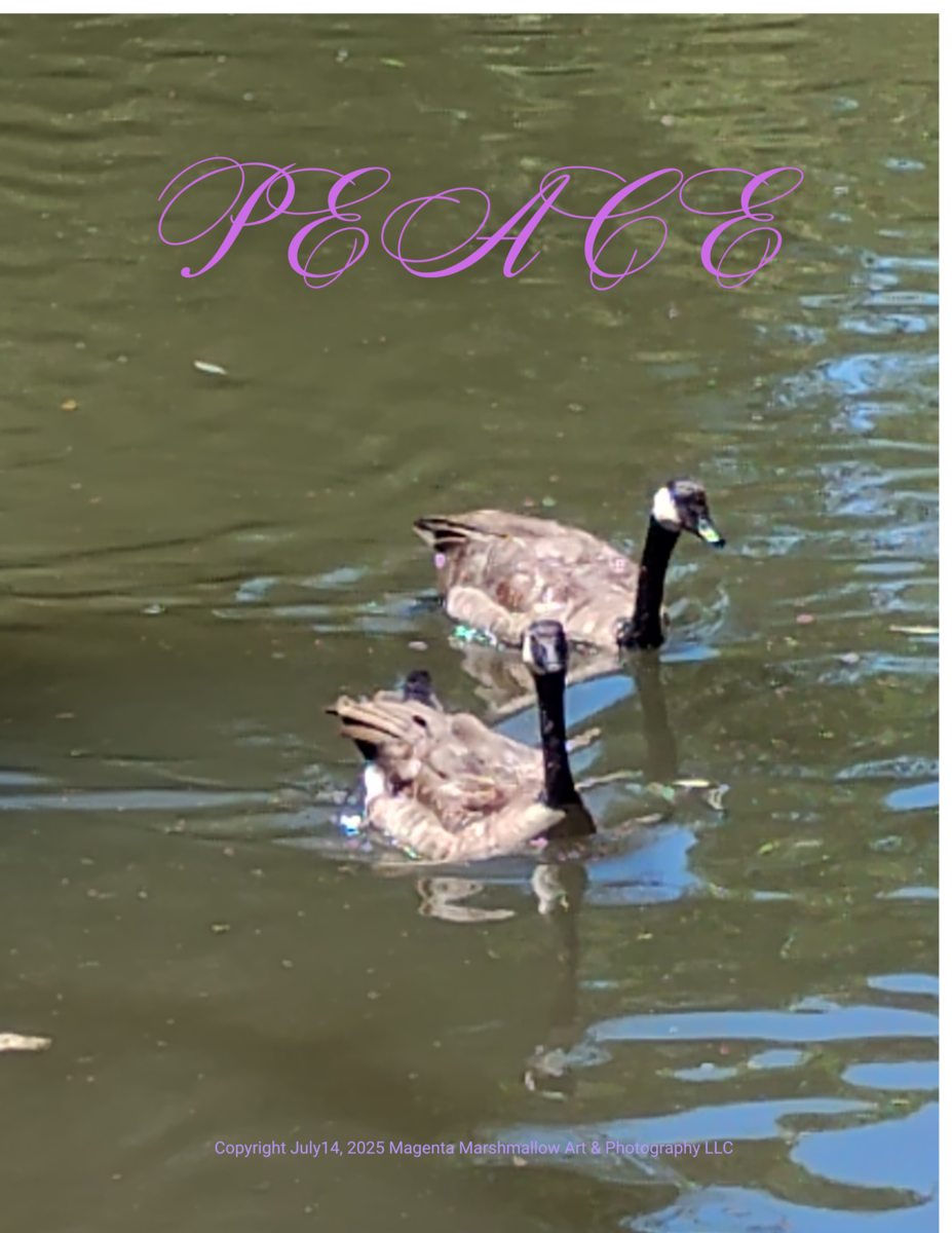 2 Geese at the pond - PEACE - Canvas Print