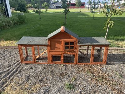 Rabbit Hutch/Bunny Hutch