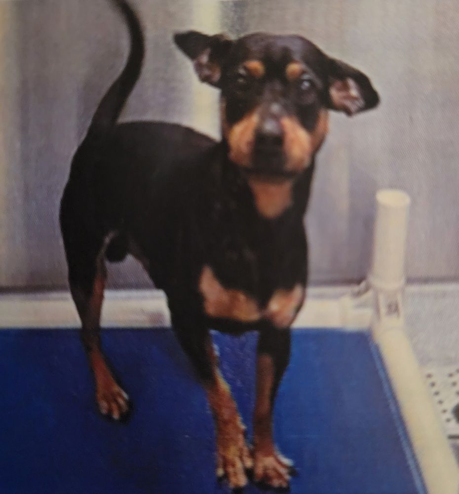 Gavin-Need's a special home