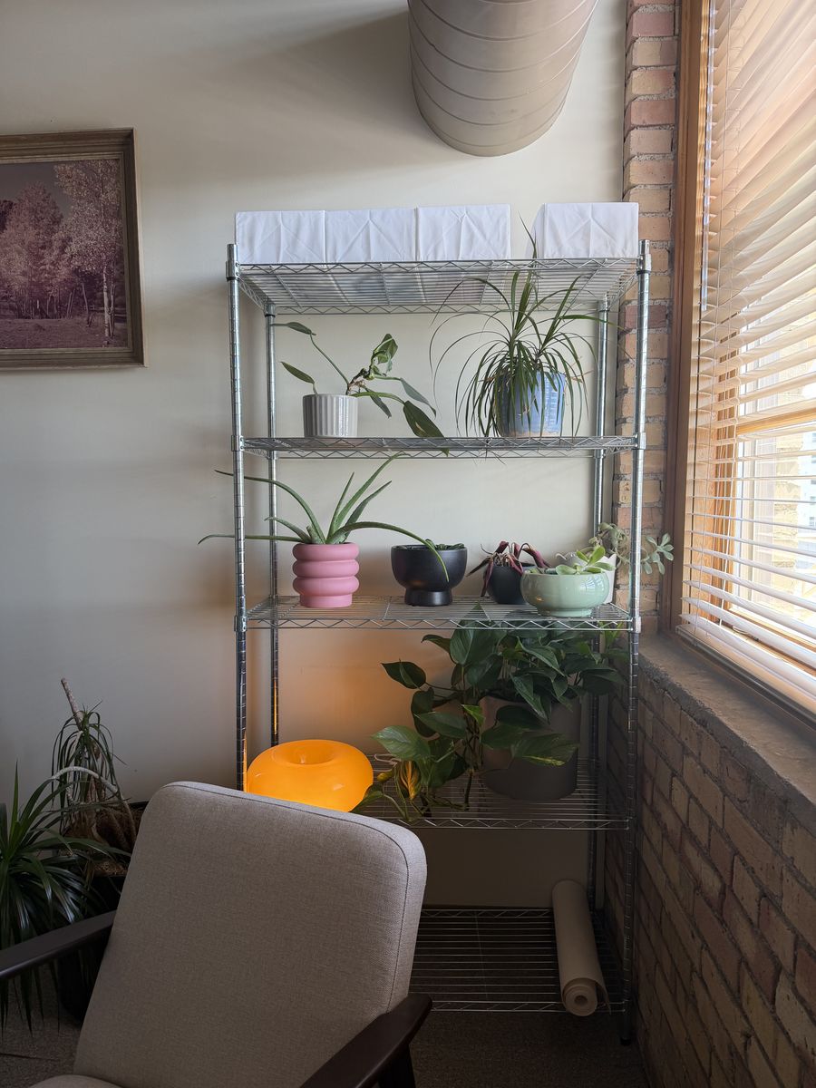 Main image 2