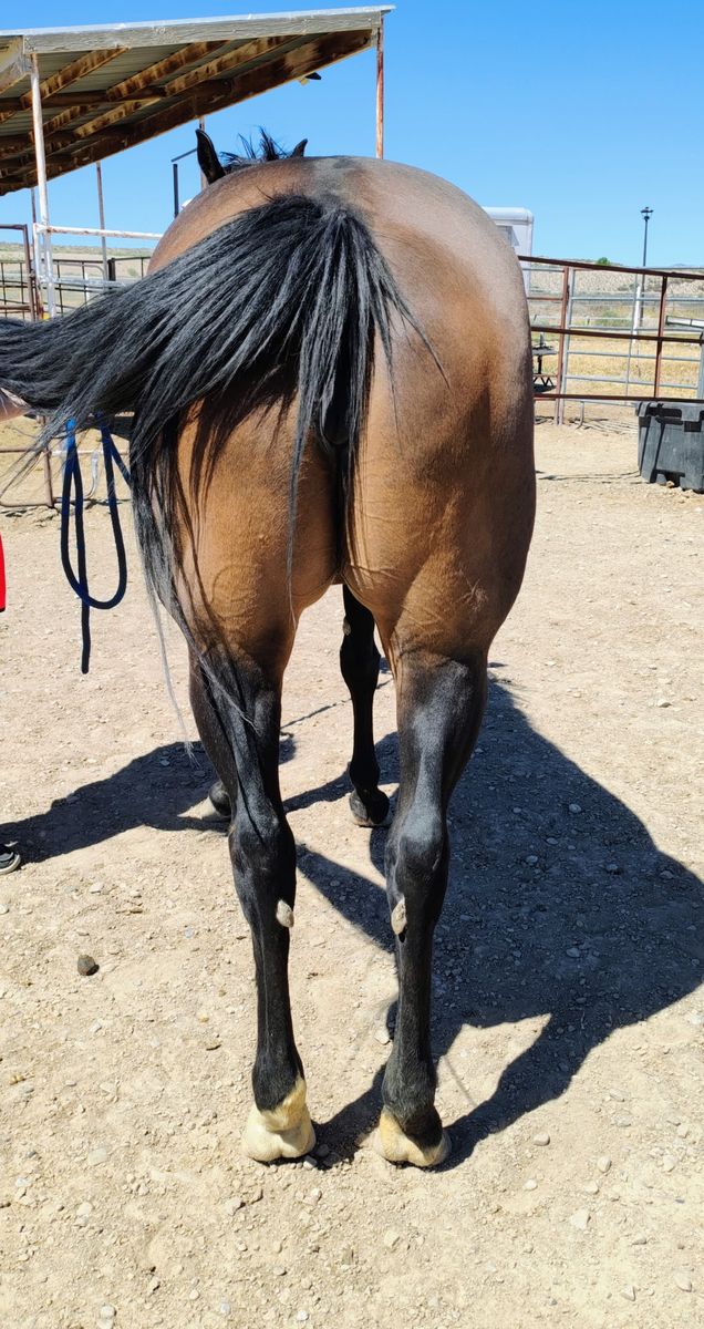Main image 5