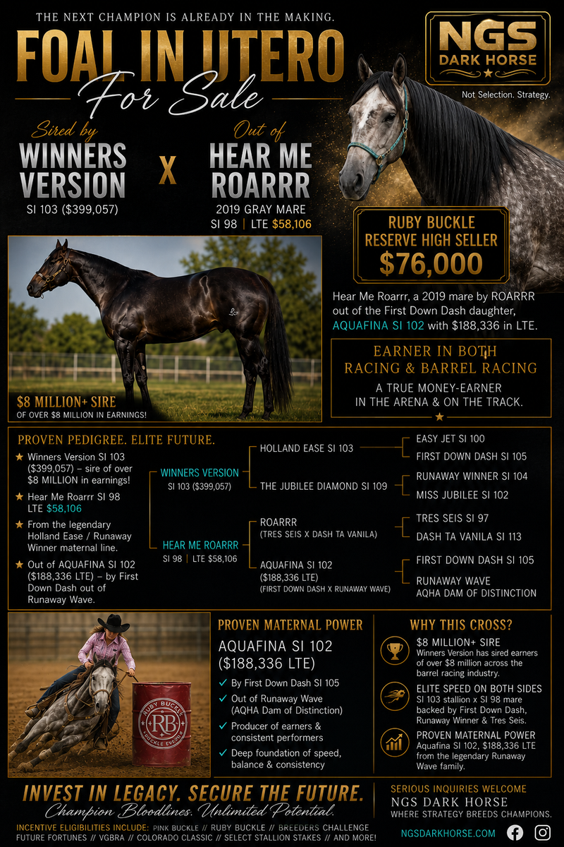 Foal(s) In Utero for sale