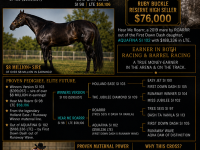 Foal(s) In Utero for sale