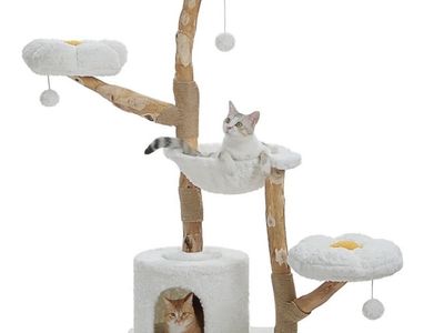 Luxury Wooden Cat Tree For Large Cats