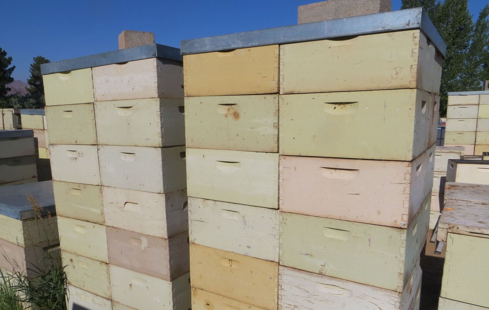 Beehive, Beekeeping Equipment, Hive bodies and frames - $35