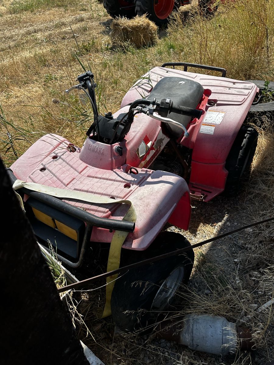 Yamaha Timberwolf 