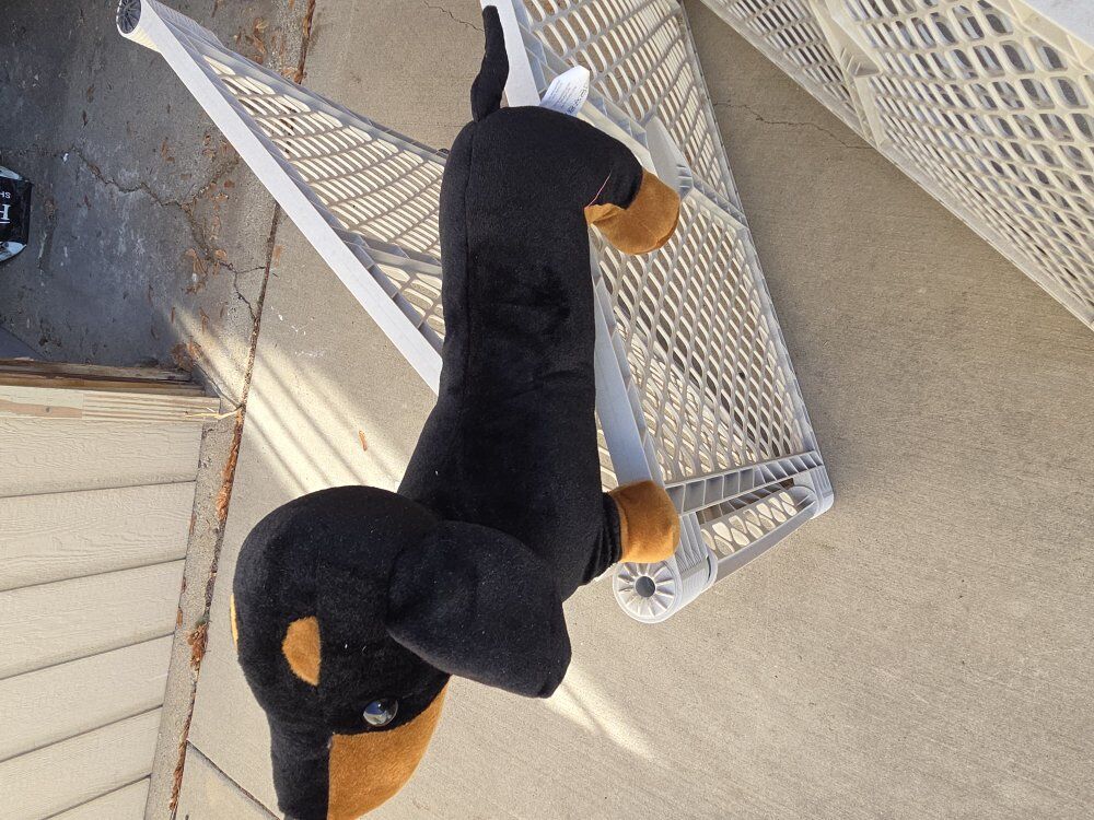 comfort microwavable dog