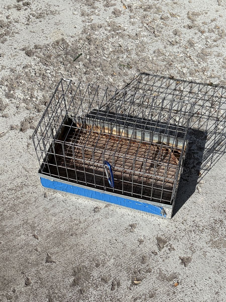 Rabbit Transport Cage