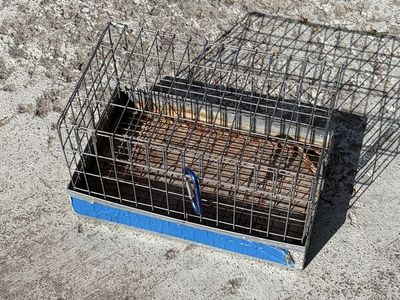 Rabbit Transport Cage