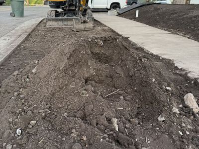 Free Dirt Top Soil LAST LOAD