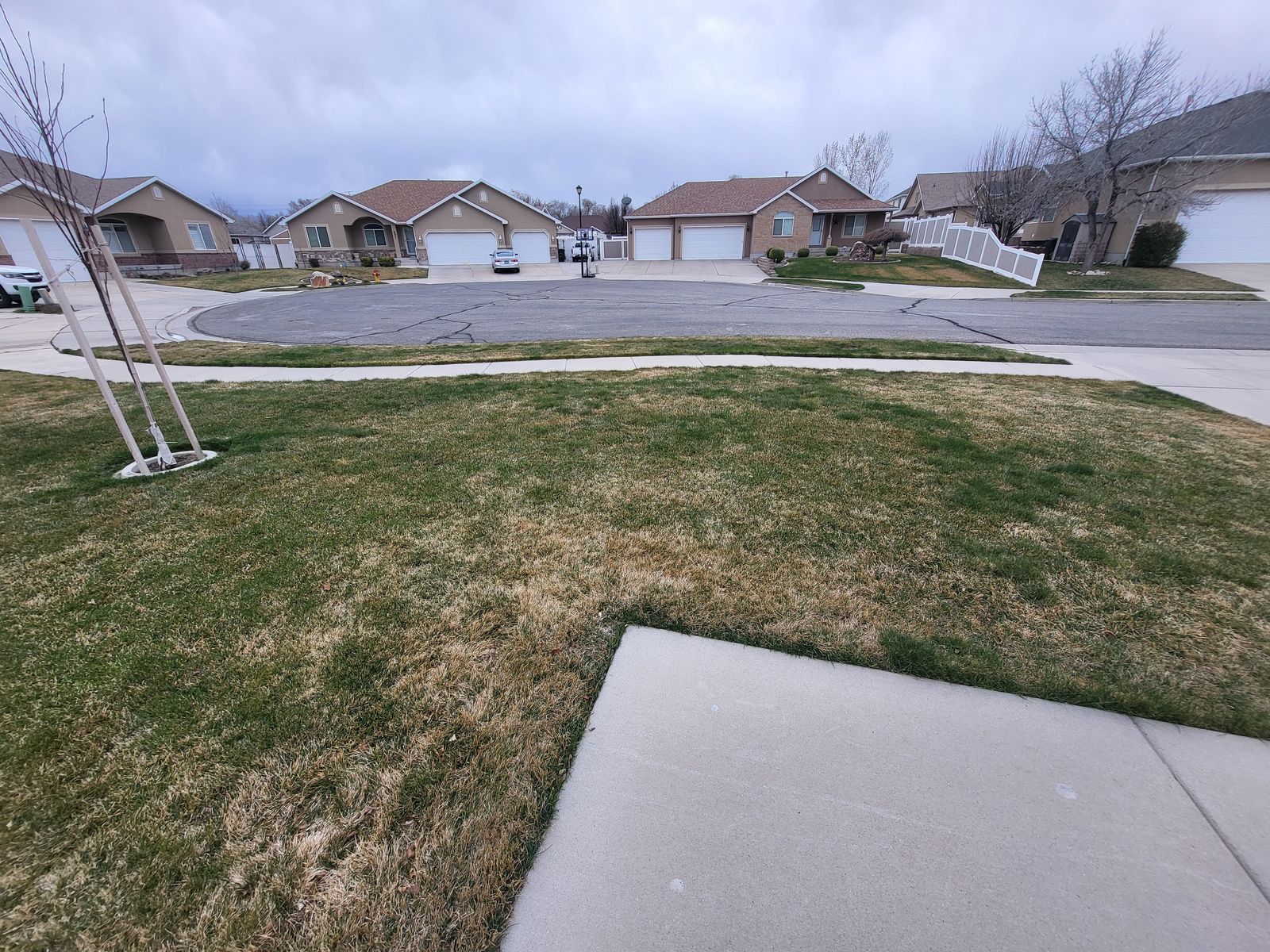 Sod - Free