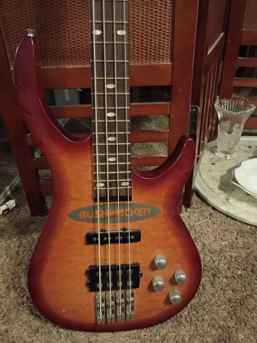 Electric and Acoustic Bass Guitar