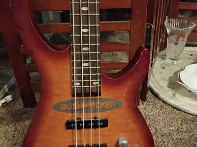 Electric and Acoustic Bass Guitar