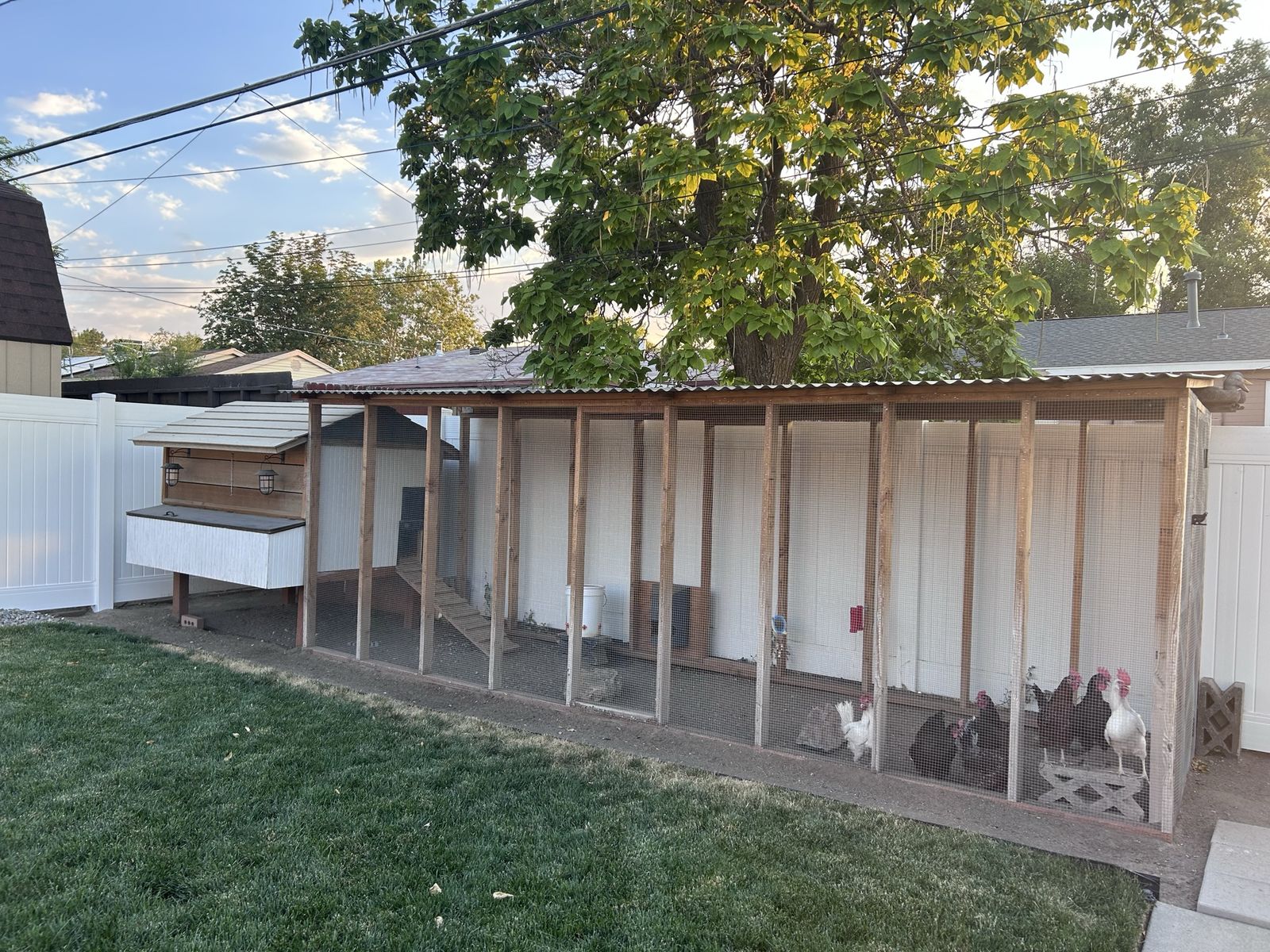 Chicken coop and run