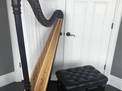 Lyon & Healy Prelude 40 String Lever Harp Ebony Finish & Professional Bench (Purchased Dec 2019)