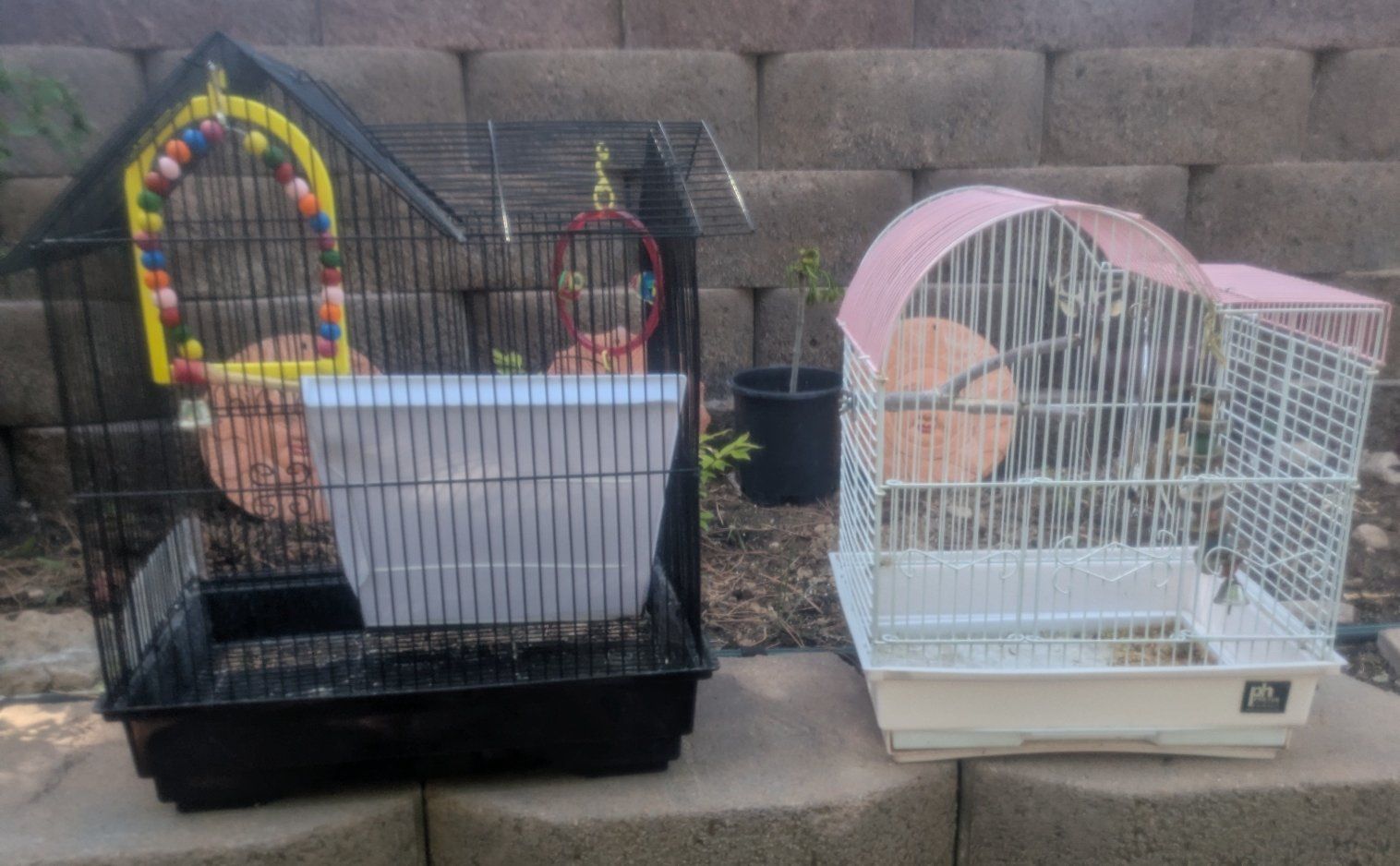 Bird Cages