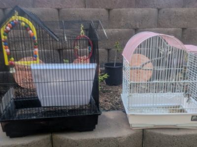 Bird Cages