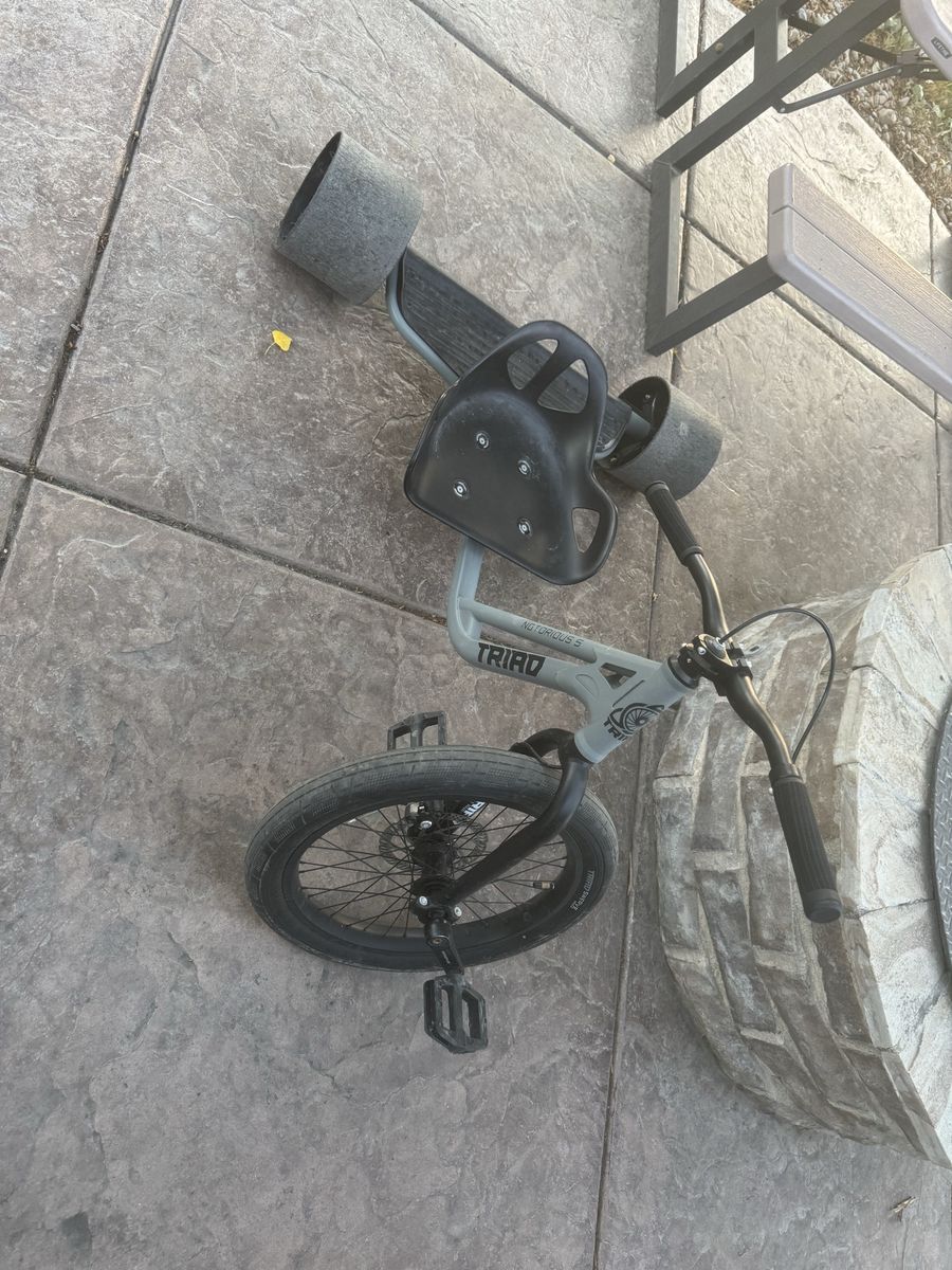 TRIAD drift trike