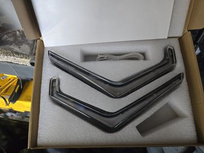 Polaris RZR Fang Lights