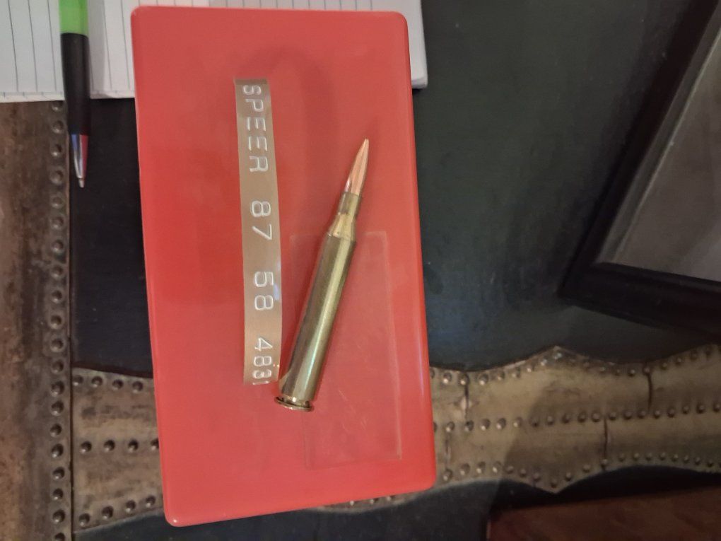 25-06 ammo